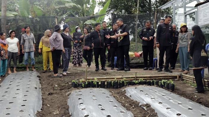 Bupati Franc Tumanggor mengunjungi kebun B2SA