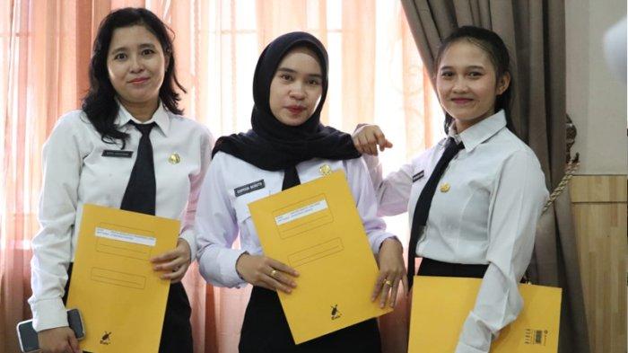 PPPK Paruh Waktu dan Perbedaannya dengan Penuh Waktu Beserta Nilai Gaji yang Diterima