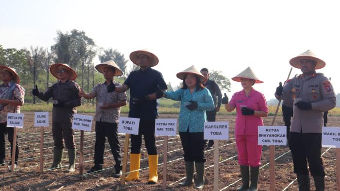 Bupati Toba Hadiri Penanaman Jagung