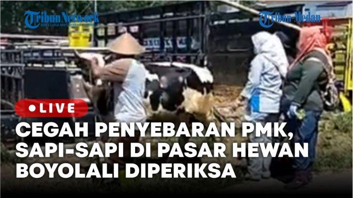 Tim Gabungan Cek Kesehatan Sapi di Pasar Hewan Karanggede Boyolali, Cegah Penyebaran PMK