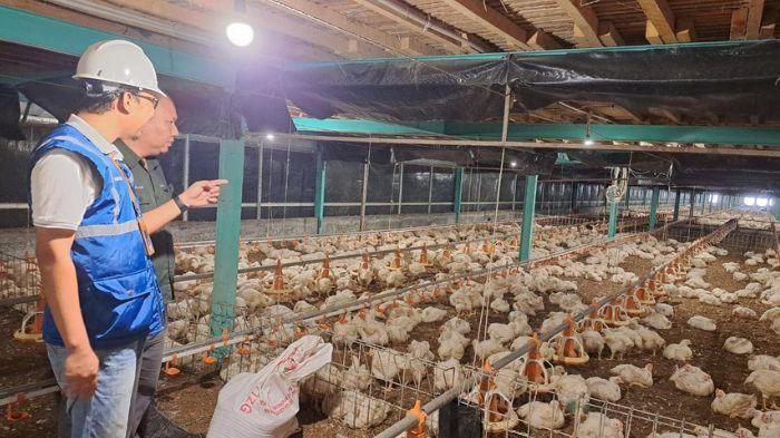 Pemerintah Fokus Jaga Kestabilan Tarif Listrik Demi Daya Beli Masyarakat Sepanjang Tahun 2025