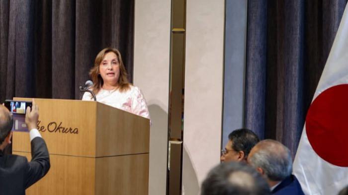 Dina Boluarte, Presiden Republik Peru 2