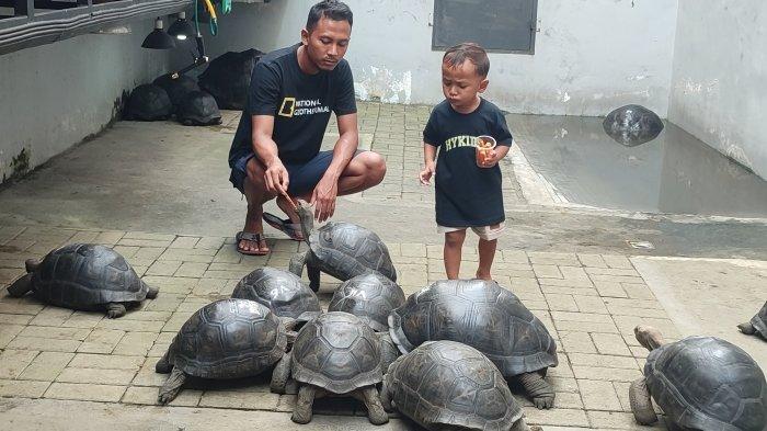 Dragon Torto, Wisata Edukasi Anak yang Ramah di Kantong