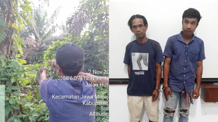 Polres Simalungun Tangkap Dua Pelaku Pencurian Sawit di PTPN-4 Bah Jambi