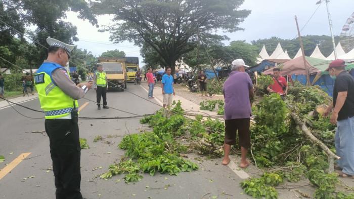 Sat Lantas Polres Batu Bara Evakuasi Pohon Tumbang, Jalinsum Kembali Lancar