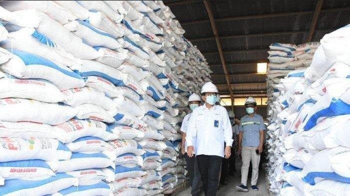 Realisasi Penyaluran Pupuk Subsidi di Sumut Capai 60 Persen Hingga September 2023