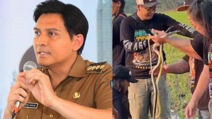 GEBRAKAN Lucky Hakim Sebar Ribuan Ular di Sawah Indramayu Disorot, Dedi Mulyadi Beri Saran
