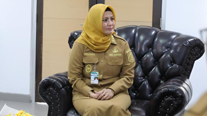 Wakil Gubernur Bangka Belitung, Hellyana 