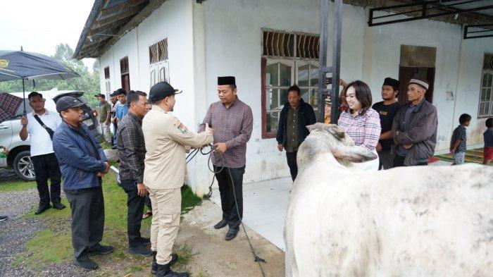 Bupati Pakpak Bharat, Franc Bernhard Tumanggor menyerahkan hewan kurban Gubernur Sumatera Utara Bobby Afif Nasution di Desa Penanggalan Binanga Boang, Kecamatan Salak, Pakpak Bharat, Kamis (5/6/2025). Ketua Badan Kemakmuran Masjid (BKM) Al Iman Penanggalan Binanga Boang, Elson Angkat menerima langsung hewan kurban berupa satu ekor sapi tersebut. (Diskominfo Pakpak Bharat)