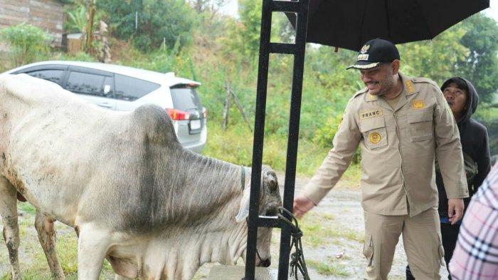 Bupati Pakpak Bharat, Franc Bernhard Tumanggor menyerahkan hewan kurban Gubernur Sumatera Utara Bobby Afif Nasution di Desa Penanggalan Binanga Boang, Kecamatan Salak, Pakpak Bharat, Kamis (5/6/2025). Ketua Badan Kemakmuran Masjid (BKM) Al Iman Penanggalan Binanga Boang, Elson Angkat menerima langsung hewan kurban berupa satu ekor sapi tersebut. (Diskominfo Pakpak Bharat)