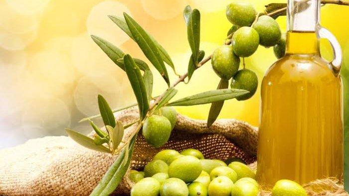 7 Manfaat Buah Zaitun untuk Kesehatan, Dapat Menjaga Kesehatan Kulit dan Tulang