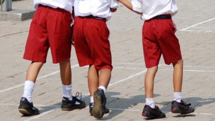 Disdik Medan Verifikasi Data 1.350 Anak Putus Sekolah, Bakal Berikan Uang Saku Rp 1,5 Juta