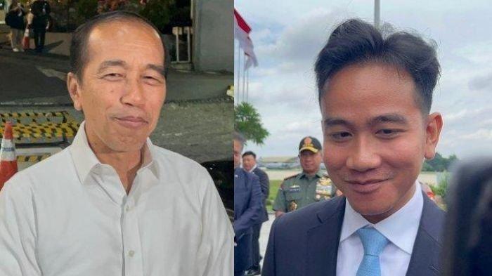 REAKSI Jokowi dan Gibran Soal Sekjen PDIP Hasto Kristiyanto Jadi Tersangka Kasus DPO Harun Masiku