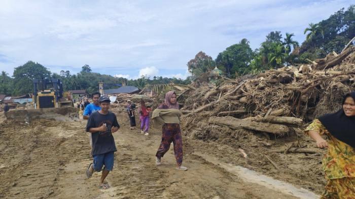 KAYU GELONDONGAN - Penampakan hutan gundul di Muara Sibuntuon, Sibabangun, Tapteng. Kuat dugaan kayu gelondongan banjir bandang Batangtoru berasal dari daerah ini.