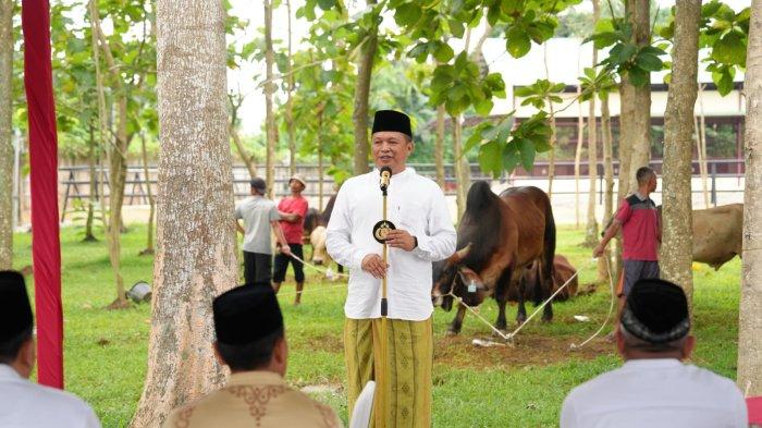 Idul Adha, Polda Sumut Kurbankan 154 Sapi dan 46 Kambing