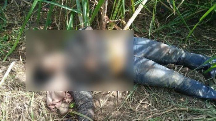Mayat Wanita Ditemukan di Perkebunan Tebu, Berikut Identitasnya