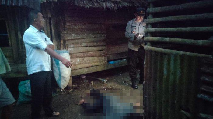 Rambo Sembiring Saling Tikam dengan Kartonodi Surbakti, Satu Orang Tewas, Polisi masih Dalami Motif