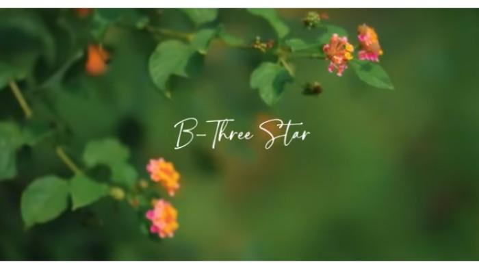 Lirik Lagu Batak Nga Pasrah Be Au Dipopulerkan oleh B-Three Star