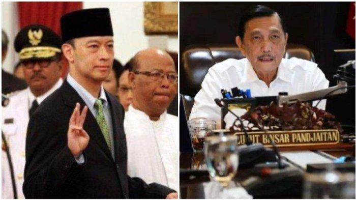Luhut 'Kepanasan' Dengar Pernyataan Tom Lembong Beri Contekan ke Presiden Jokowi: Anda Pembantu!