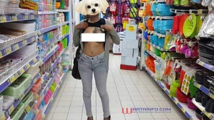 MAHASISWI Putus Urat Malu, Pamer Dada di Tempat Umum, Raup Puluhan Juta Rupiah, Kini Diciduk Polisi