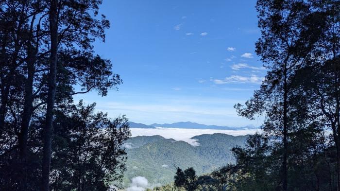 Mendaki Bukit