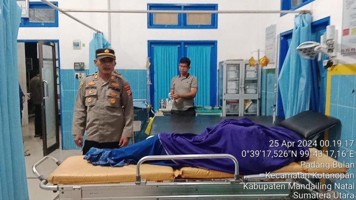 Diduga Diterkam Harimau Sumatera, Nenek 70 Tahun di Madina Ditemukan Tewas Luka-luka