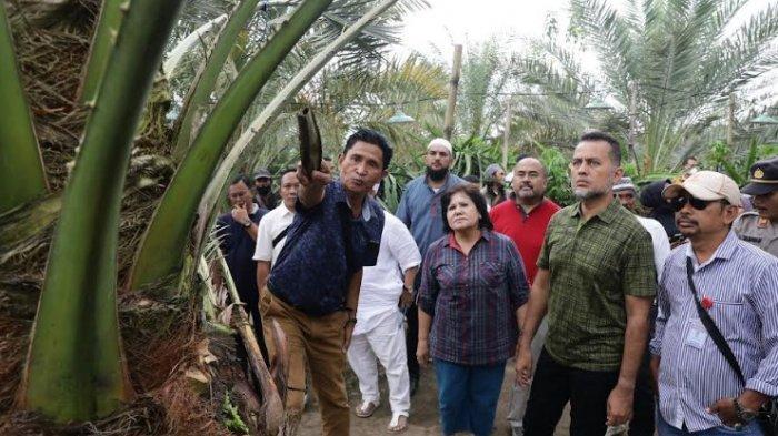 POHON Kurma Tumbuh Subur di Tanah Karo, Wagub Ijeck Minta Hal Ini ke Bupati Cory Sebayang