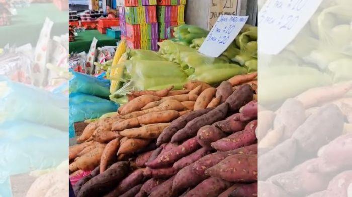 Nikmati Kesegaran Cameron Highlands di Bazar Kea Farm Malaysia: Destinasi Wajib