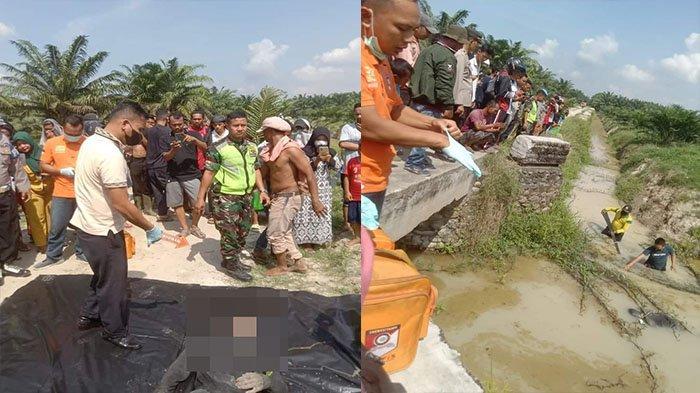 Mayat Tanpa Identitas Ditemukan di Areal Perkebunan Sawit Sergai, Diduga ODGJ, Berikut Ciri Cirinya