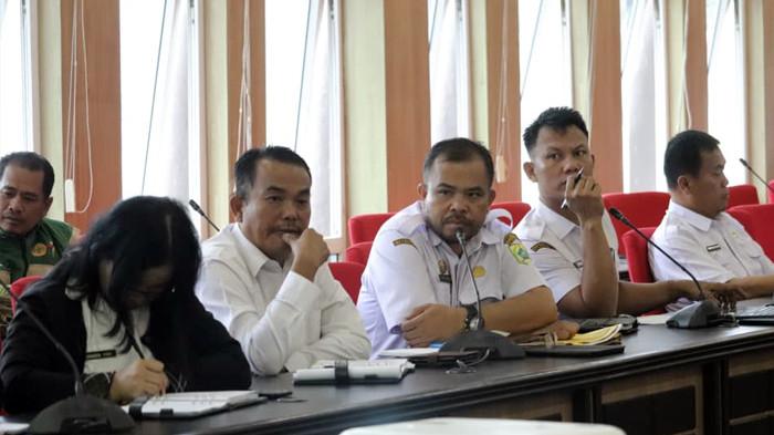 PENGEMBANGAN GAMBIR PAKPAK 2026