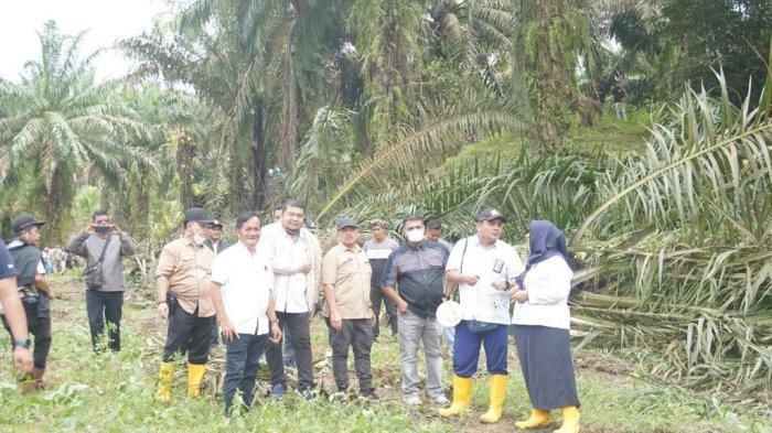 Suguh Hati Mengalir untuk Penggarap, Eksekusi Lahan PTPN IV Berlangsung Lancar