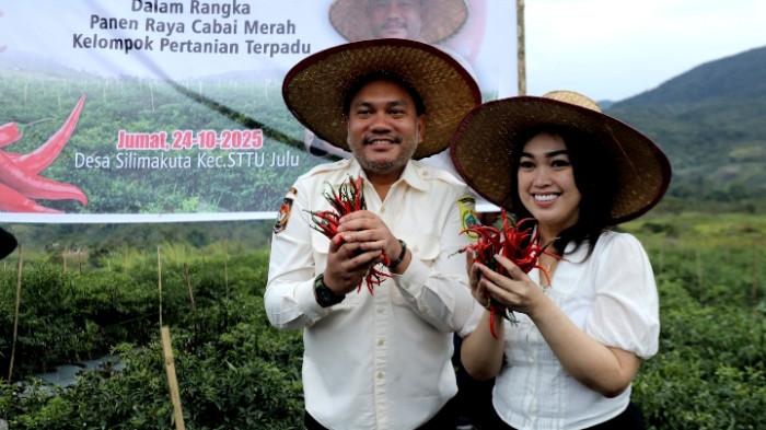 BUPATI Franc Tumanggor Panen Raya Cabai Merah di Tengah Harga Naik: Harapan Baru untuk Petani Lokal