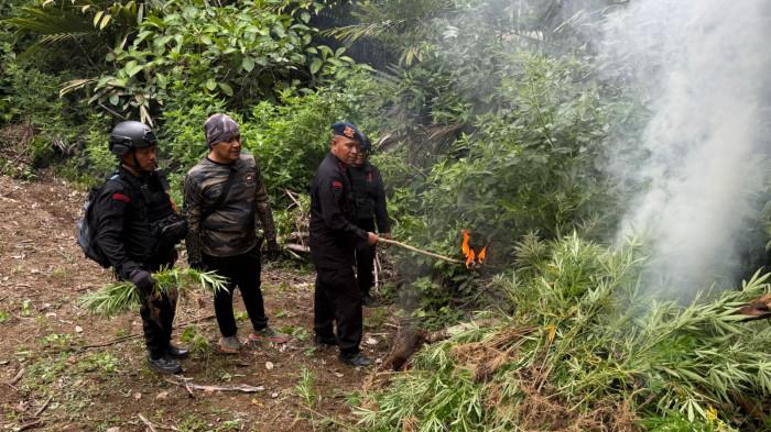Pembakaran Ganja oleh Danyon