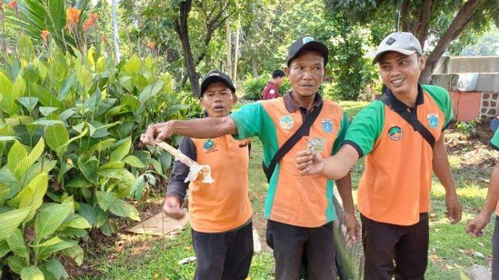 KETIKA Ruang Terbuka Hijau di Jalan Tubagus Angke Grogol Petamburan Menjadi Tempat Prostitusi