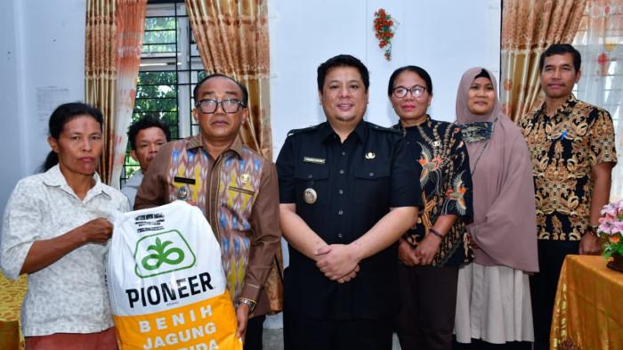 Pemkab Samosir salurkan bantuan bibit jagung yang bersumber dari Pemprovsu