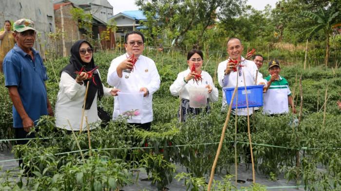 Pemko Siantar Perkuat Sektor Pertanian