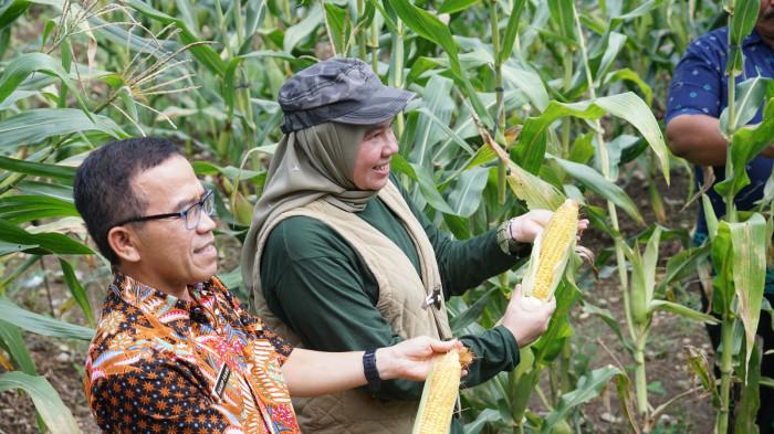 Penutupan PKKMB UNPAB 2025: “Green