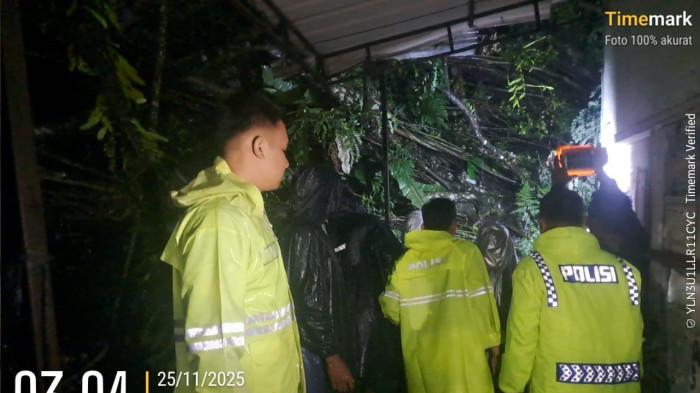 POHON TUMBANG Personel Pamapta III Polres Sibolga, IPDA Dian Damanik, S.H., bersama petugas piket fungsi dan tim BPBD Kota Sibolga bergerak  melakukan upaya bantuan dan penyelamatan setelah menerima laporan masyarakat mengenai pohon tumbang yang melintang di badan jalan.