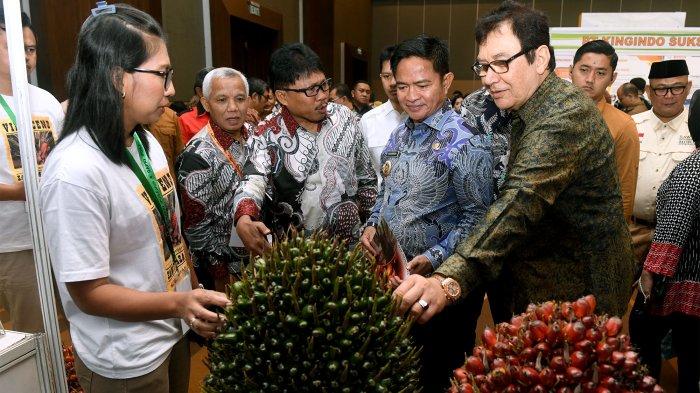 Pj Gubernur Sumut Sebut Penataan Sawit Semakin Baik, Motor Penggerak Ekonomi