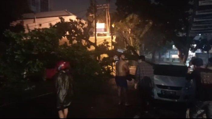 Dinas SDABMBK Akan Ganti Rugi Kendaraan yang Tertimpa Pohon Tumbang, Begini Syarat dan Caranya