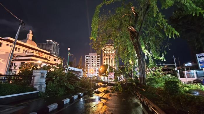 Pohon tumbang karena batang yang patah saat hujan ekstrem disertai angin kencang