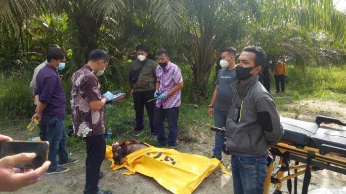 MAYAT Mr X Ditemukan dalam Kondisi Leher Tergorok dan Tubuh Terbakar