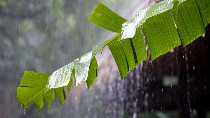 Prakiraan Cuaca Besok 3 Desember 2022 di Medan, Jakarta, Bandung, Aceh dan Palembang