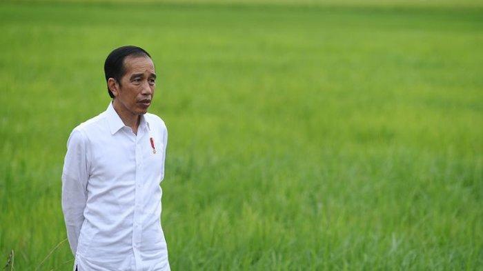 DAFTAR Tokoh Sempat Dukung Presiden Jokowi 3 Periode, Ada Cak Imin yang Dulu Minta Pilpres Ditunda