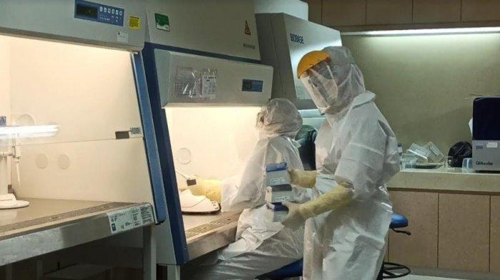 WASPADAI Virus Omicron XBB Sudah Terdeteksi di Indonesia, Berikut Gejalanya