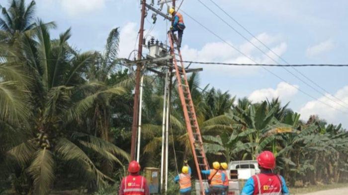 Proses Pemeliharaan Jaringan 20 kV untuk meningkatkan kehandalan jaringan.