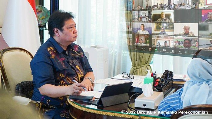 Tekan Penyebaran PMK, Menko Airlangga: Pemerintah Percepat Vaksinasi dan Pemberian Obat