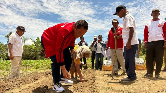 Rapidin dipangaribuan bawa jagung