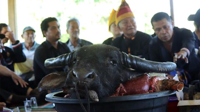 Ritual Adat Menanda Tahun Lebbuh Sinamo