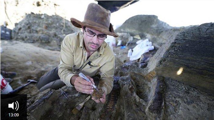Robert DePalma melakukan penelitian terhadap fosil dinosaurus yang dihantam batu dari luar angkasa selebar 12 kilometer yang menyebabkan kepunahan massal terakhir. Situs ini di Teluk Meksiko, di lepas pantai Semenanjung Yucatan. Lokasi itu 3.000 kilometer jauhnya dari situs Tanis. Situs fosil di Dakota Utara itu merupakan tempat penemuan yang bercampur aduk sisa-sisa hewan dan tumbuhan tampaknya tergulung bersama menjadi timbunan sedimen oleh gelombang air sungai yang diakibatkan getaran bumi yang tak terbayangkan dari hantaman asteroid jutaan tahun lalu.
